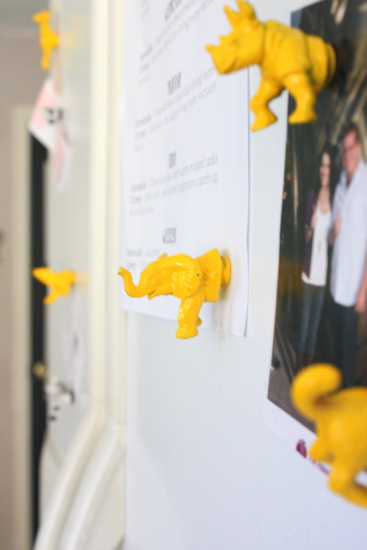 Diy animal magnets