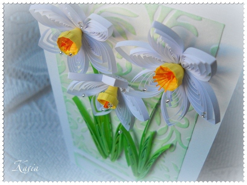 Daffodil greeting card