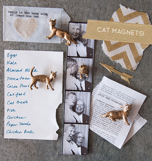 Diy cat magnets