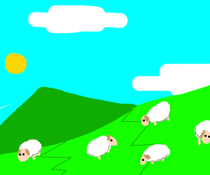 5 sheep eating on a field