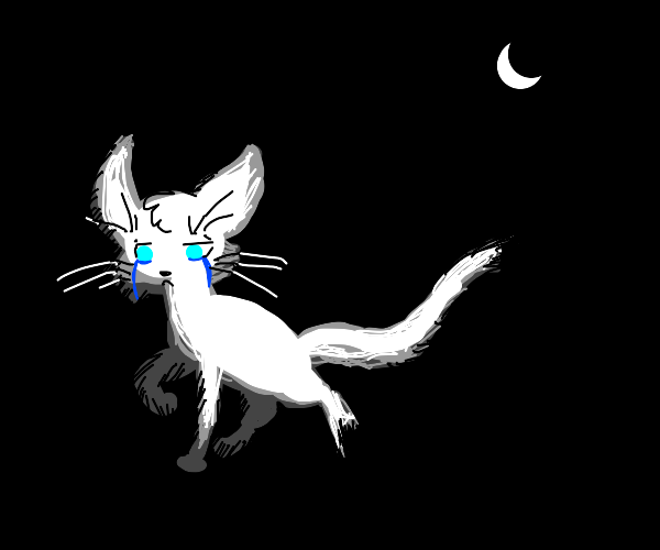 spooky cat spirit crying