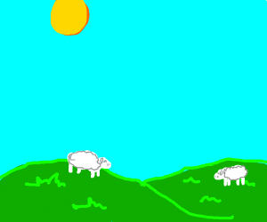 sheep in the plains on a nice day