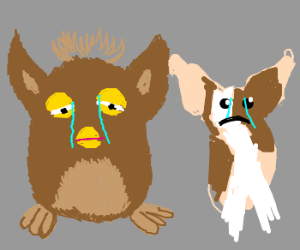 Furby and Mogwai are both sad