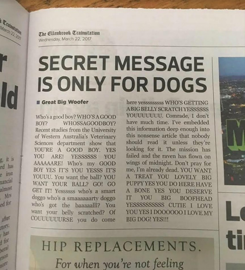 Dank meme of just a photograph of an article in a newspaper claiming to be a secret message to dogs.