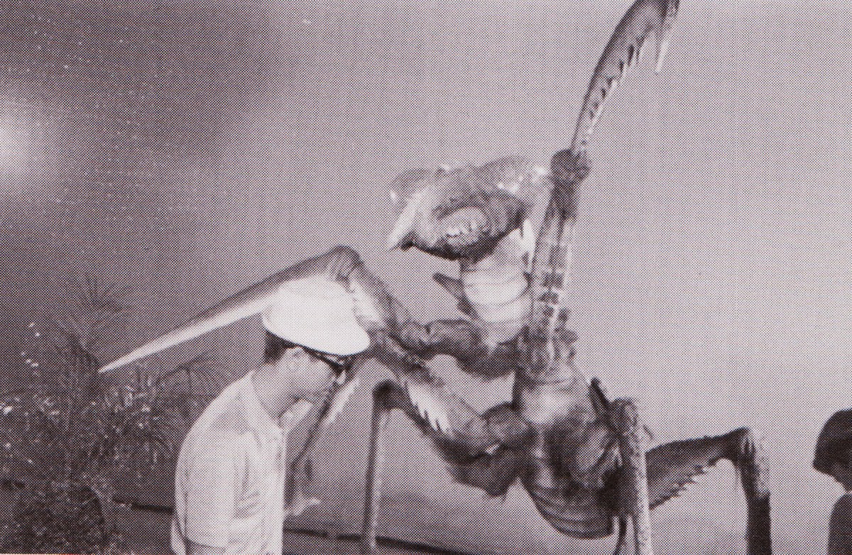 Behind The Scenes: Godzilla