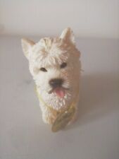 Wheaten highland terrier for sale  FAREHAM