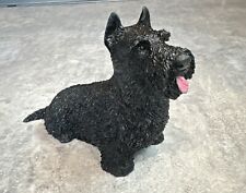 Castagna wheaten scottie for sale  HAVERFORDWEST