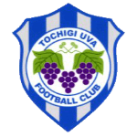 Tochigi City FC