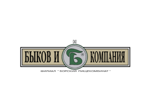 Bykov & Co 6838 Logo