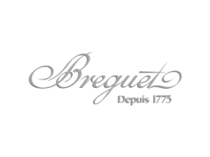 Breguet 951 Logo