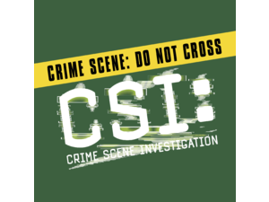 CSI Logo