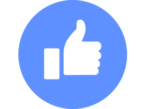 Facebook Like Logo