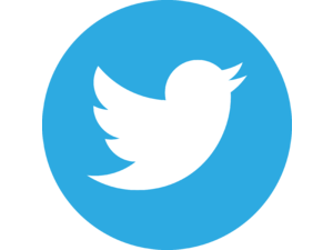 Twitter icon Logo