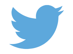 Twitter Logo