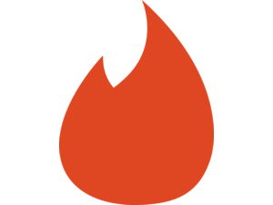 Tinder icon Logo