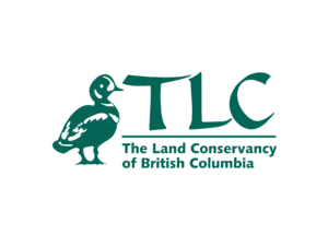 TLC Logo