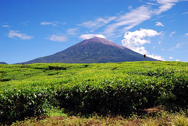 Detail Foto Pemandangan Gunung Nomer 43