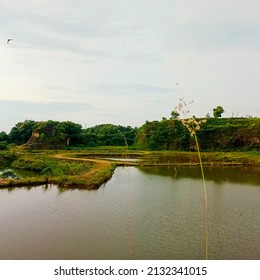 Detail Foto Pemandangan Gunung Nomer 51