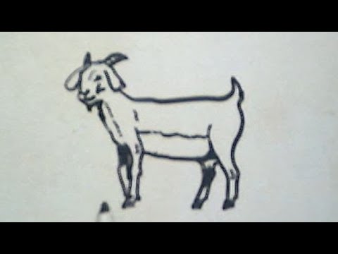 Detail Gambar Kambing Mewarnai Nomer 22