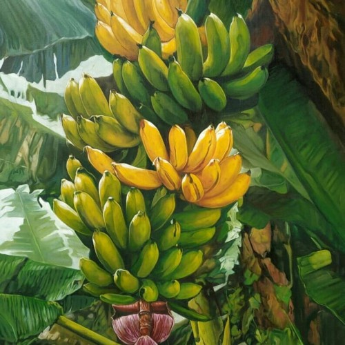 Detail Gambar Lukisan Pisang Nomer 15