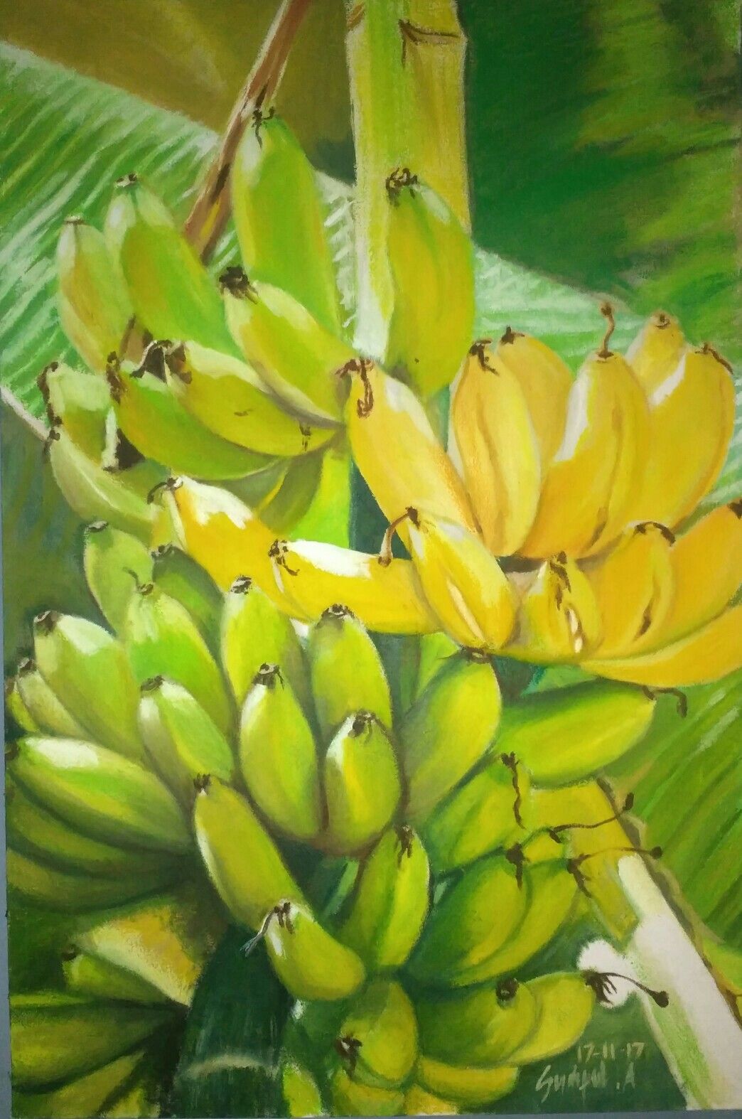 Detail Gambar Lukisan Pisang Nomer 8