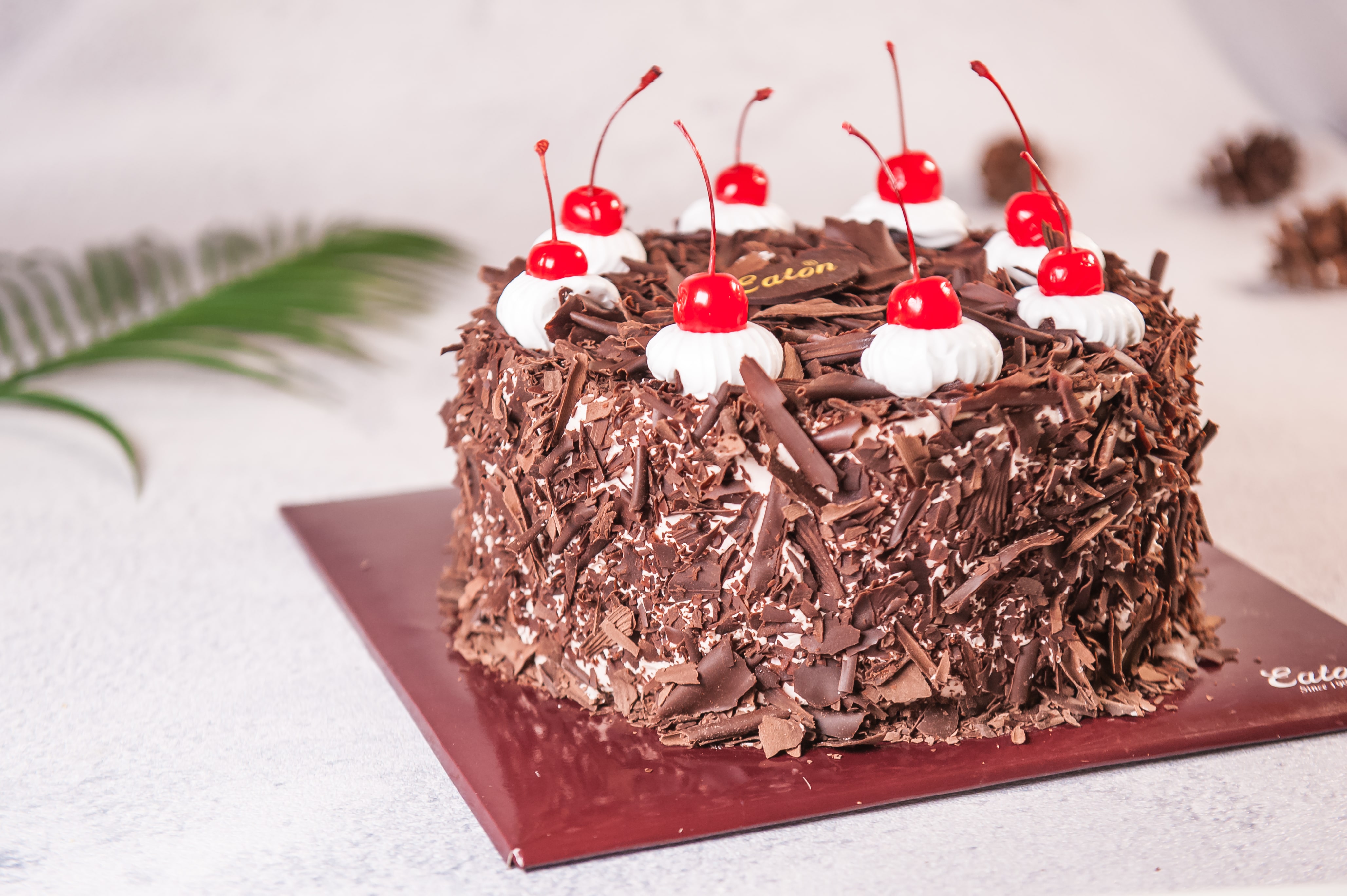 Detail Gambar Roti Black Forest Nomer 51