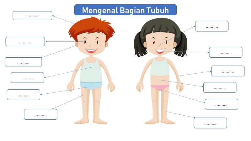 Detail Bagian Tubuh Manusia Kartun Nomer 3