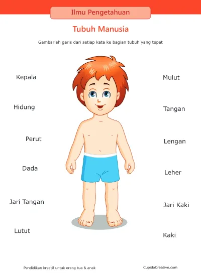 Detail Bagian Tubuh Manusia Kartun Nomer 6