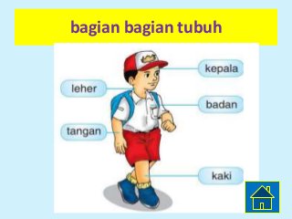 Detail Bagian Tubuh Manusia Kartun Nomer 49