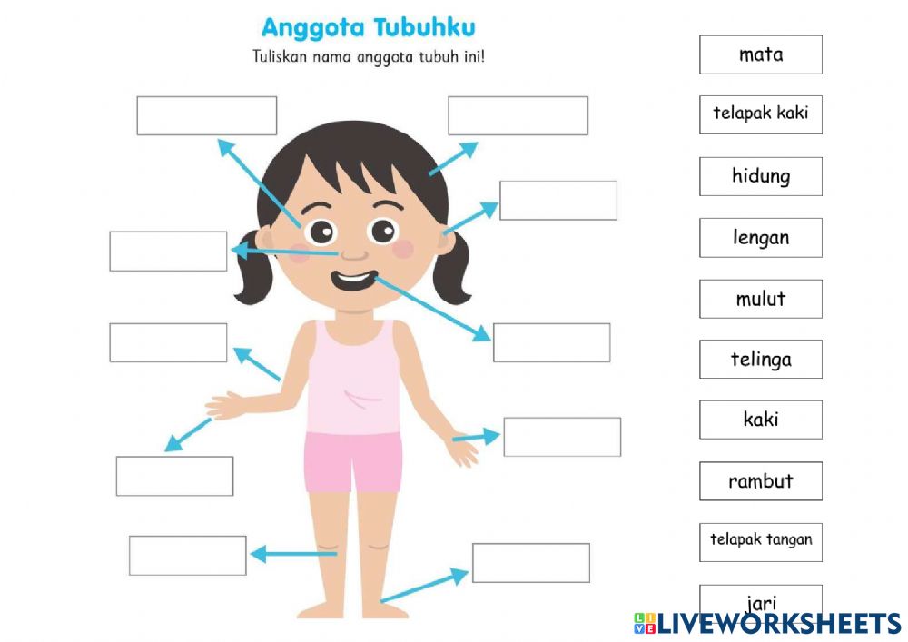 Detail Bagian Tubuh Manusia Kartun Nomer 7