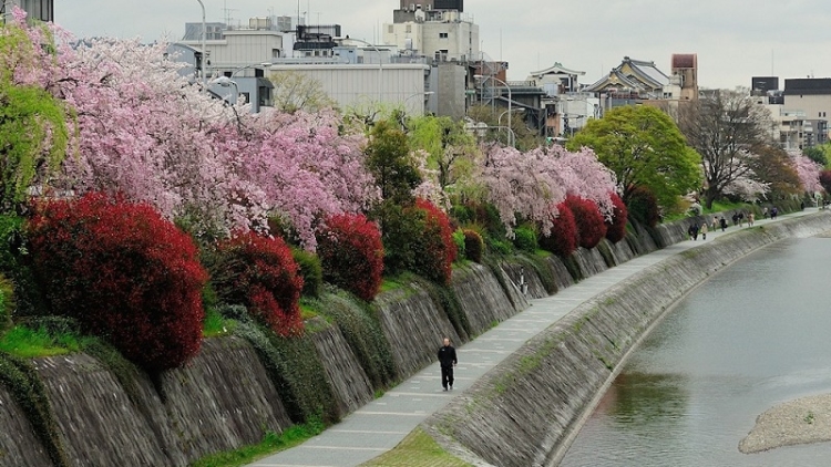 Detail Sungai Di Jepang Nomer 3