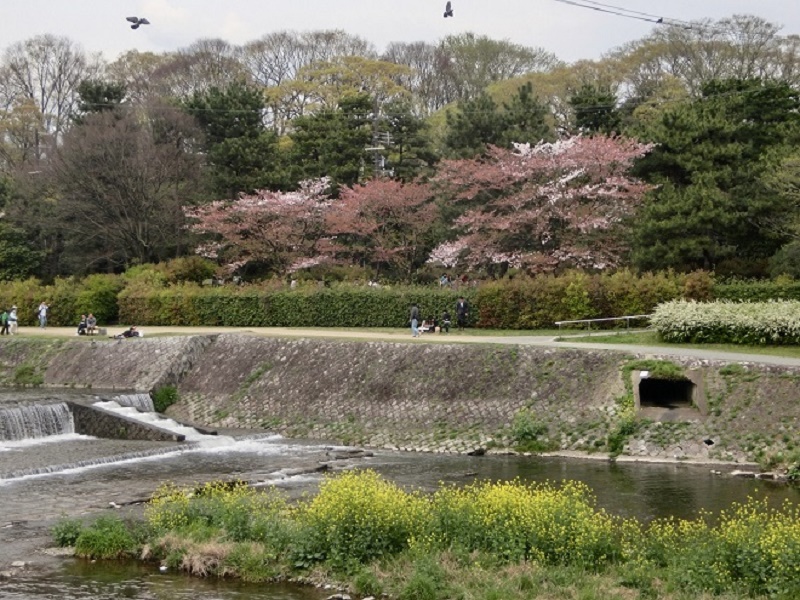 Detail Sungai Di Jepang Nomer 33