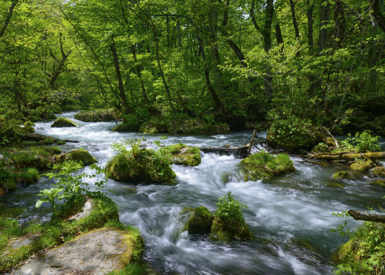 Detail Sungai Di Jepang Nomer 6