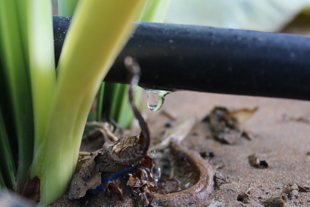 Soaker Hose Features