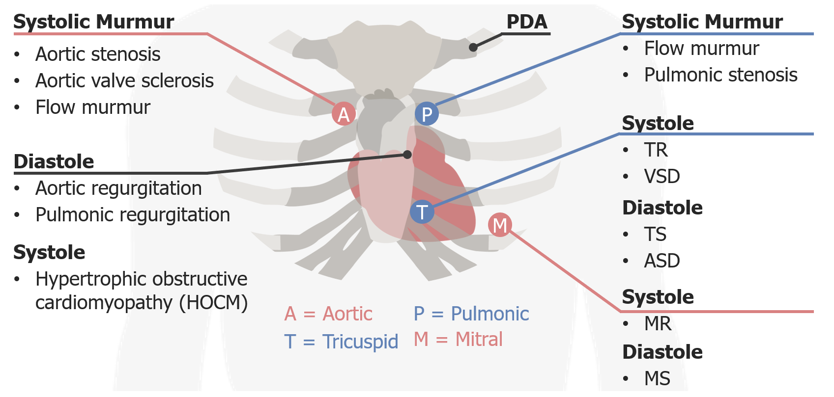 Summary Of Cardiac Murmurs