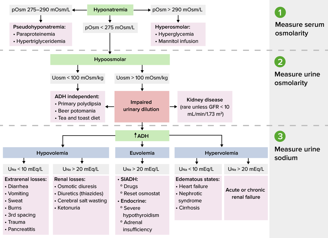 Hyponatremia (Clinical) | Concise Medical Knowledge