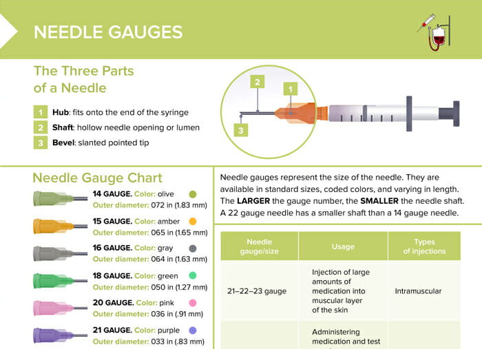 Needle Gauges For Injections Chart Size Royalty Free Vector, 56% OFF