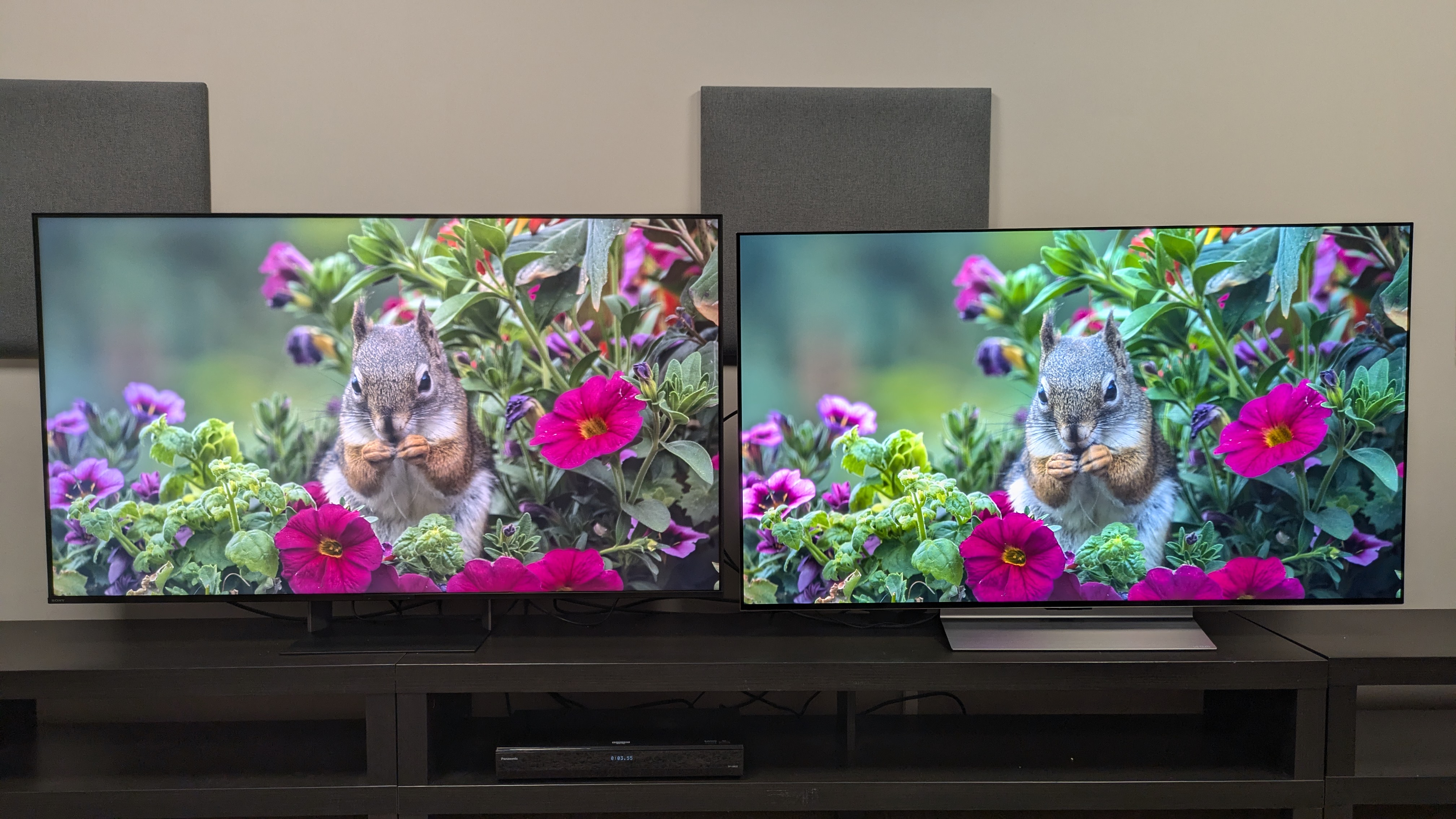 Sony Bravia 7 II (left) vs LG C6 (right) showing shot of squirrel eating on screen 