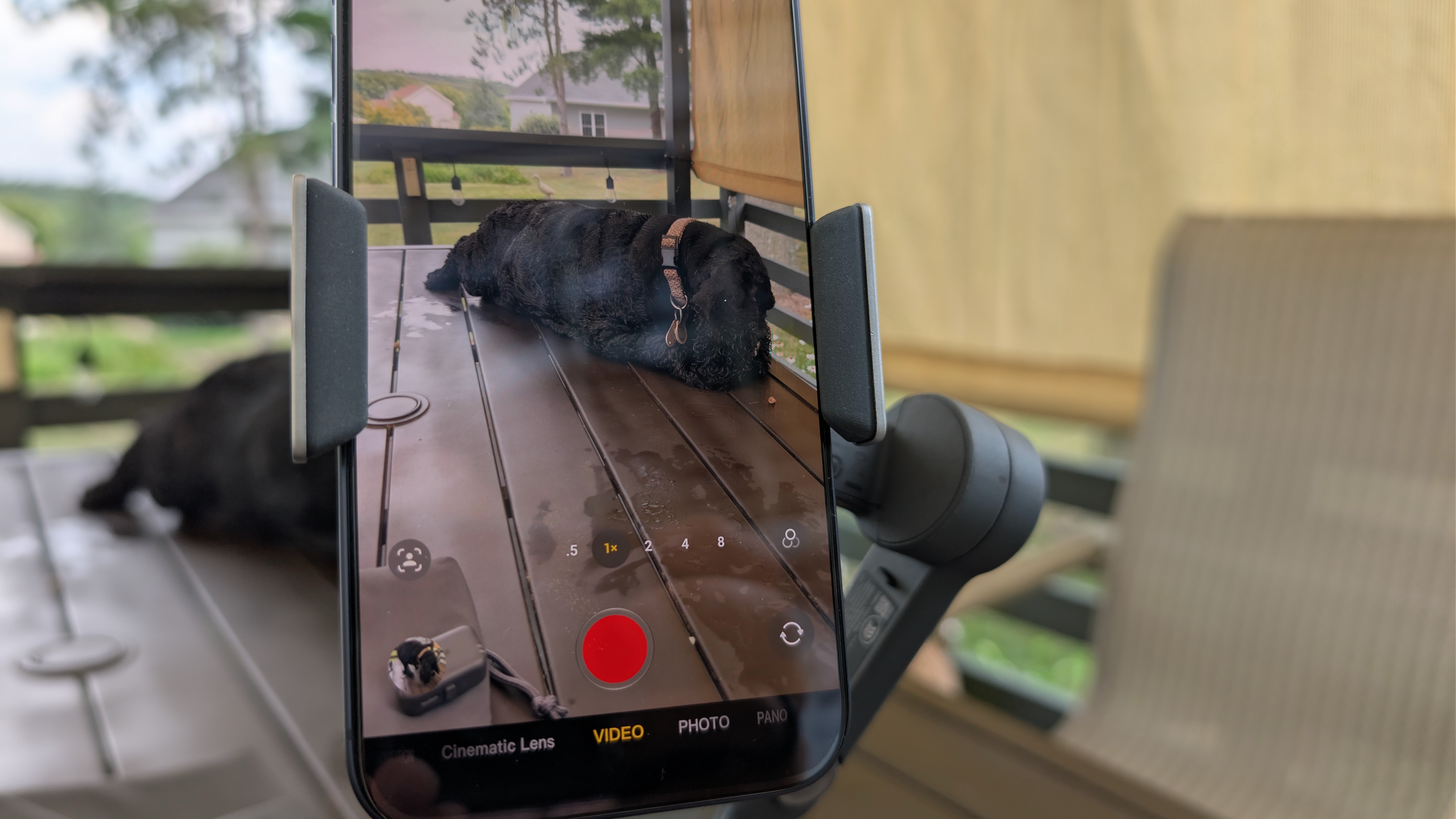 DJI Osmo Mobile 8 with an iPhone