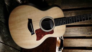 Best acoustic guitars: Taylor GS Mini