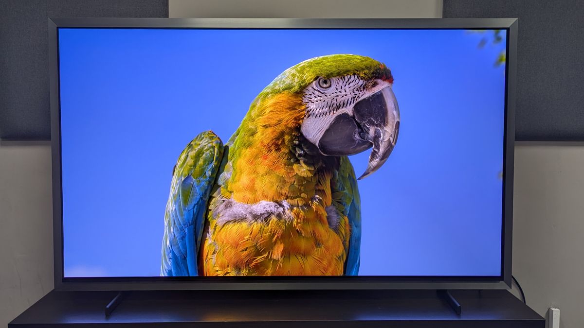 A strikingly colored parrot on the screen of the Samsung S99H OLED TV