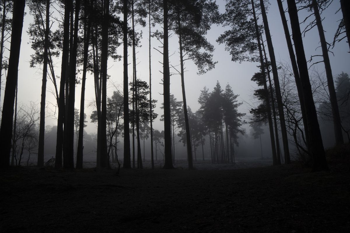 Sony A6100