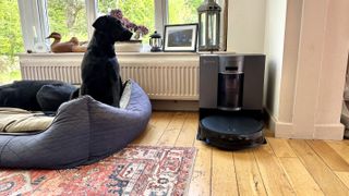 Ecovacs Deebot X12 OmniCyclone on test