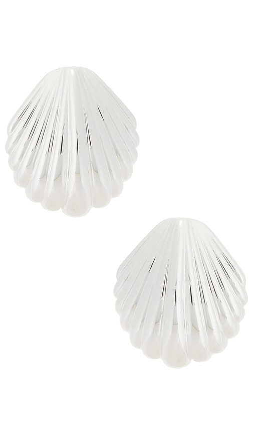 Silver Shell Earring