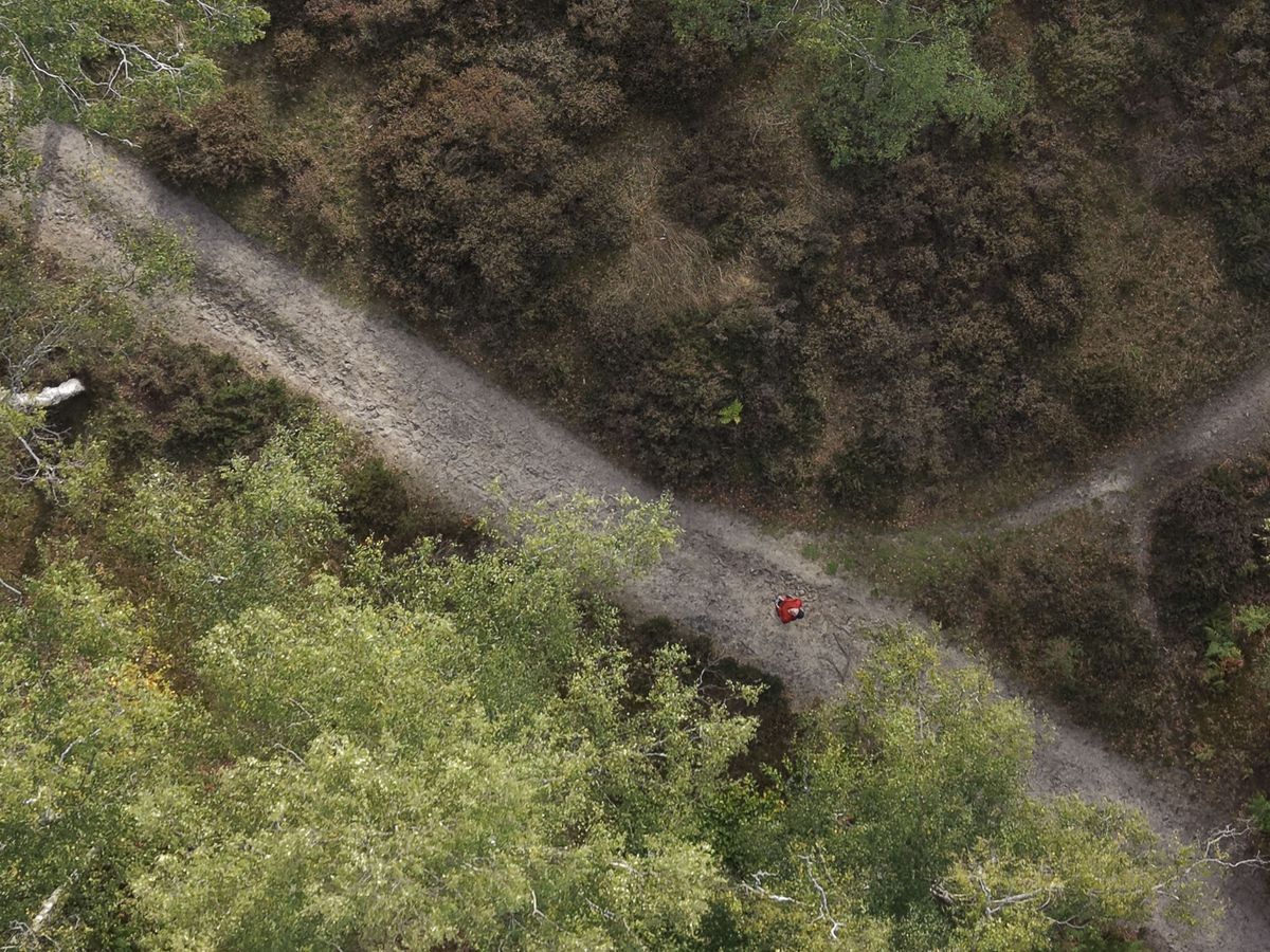 DJI Mini 5 Pro sample photos: an aerial view of a woodland with 3x digital zoom employed
