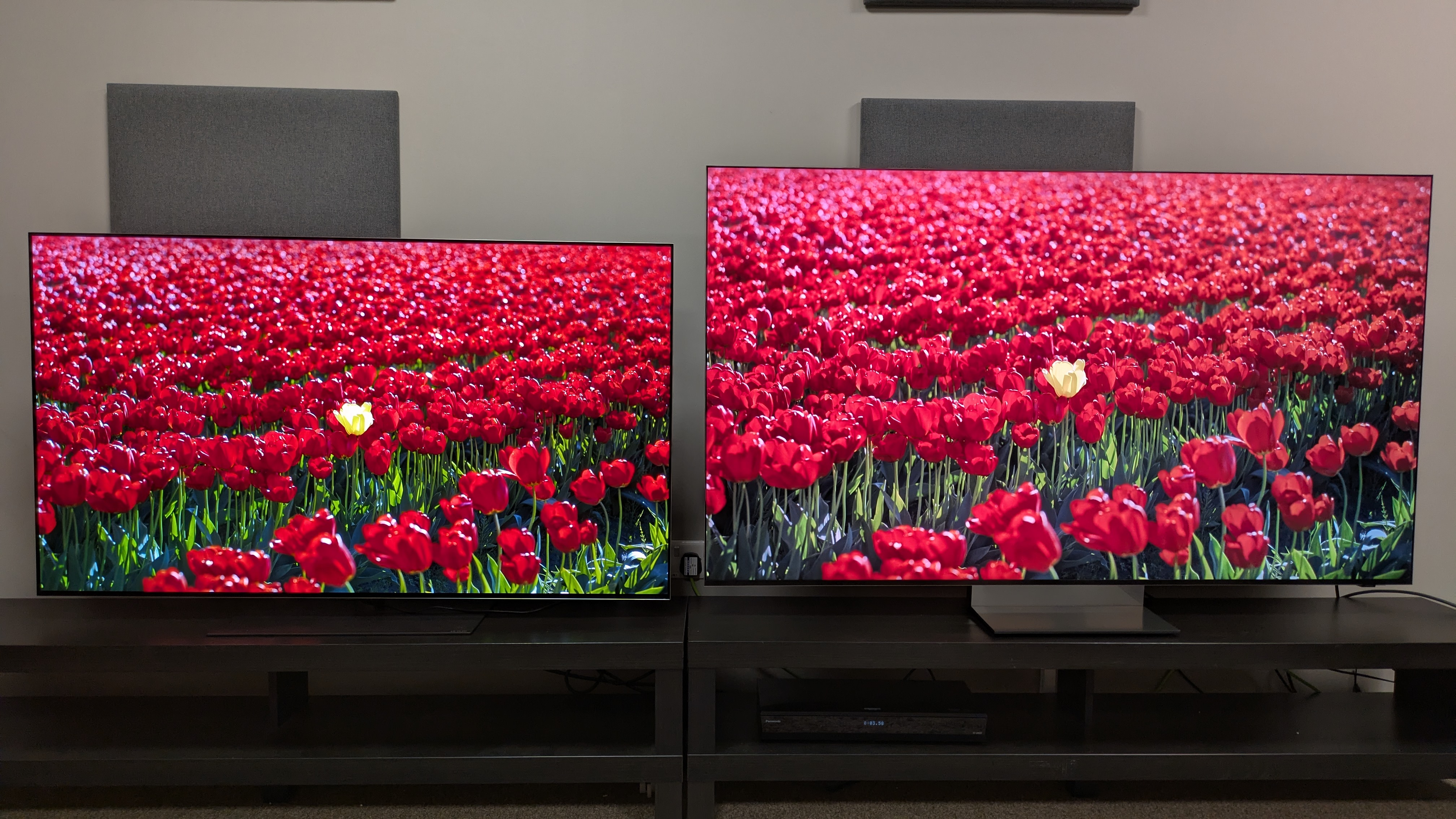 LG G6 (left) vs Samsung R95H (right) showing a field of red flowers on screen. Both TVs deliver vivid colors, but the G6's are deeper overall 