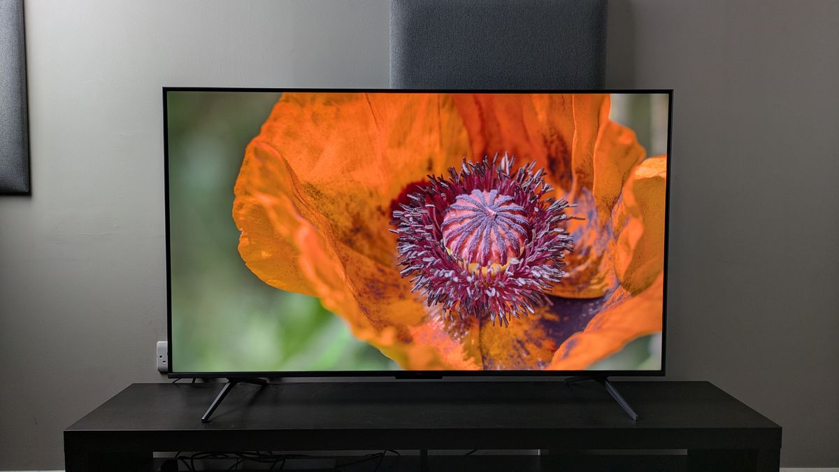 TCL C6K with orange flower on screen