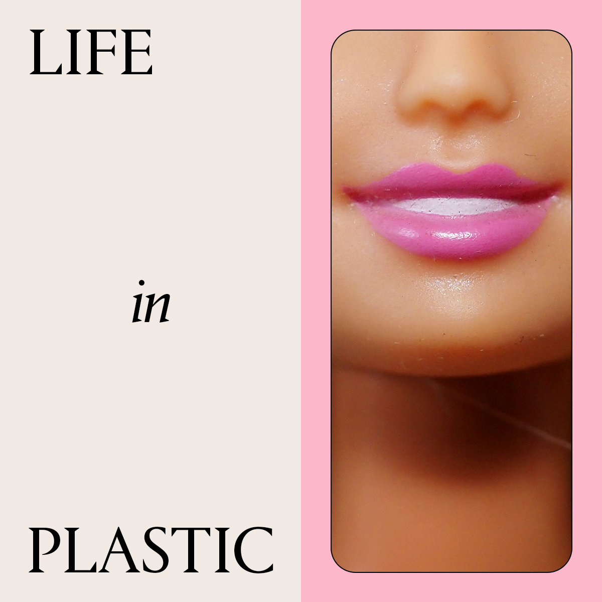 life in plastic veneers