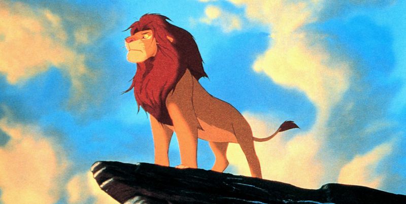 simba in the lion king as an adult lion on pride rock