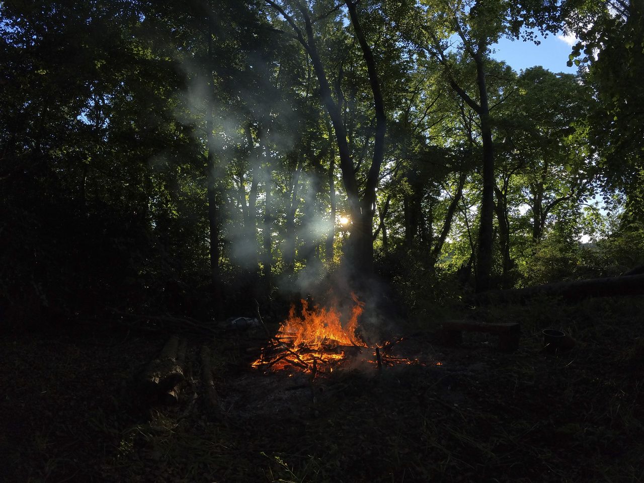A backlit fire in the woods, taken with the Insta360 Go 3S